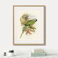 картина: love parrots ii, 1851г. в Нальчике