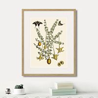 картина: juicy fruit lithography №1, 1870г. в Нальчике