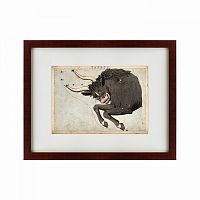 картина: signs of zodiac taurus, 1825 в Нальчике
