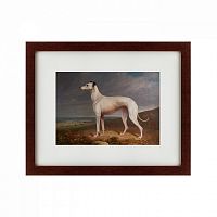 картина: portrait of a greyhound, 1744 в Нальчике