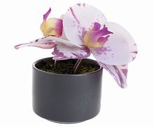 искусственный цветок орхидея в кашпо в Нальчике