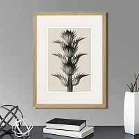 картина: botanical philosophy of forms №7, 1912г. в Нальчике