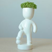 набор для выращивания eco футболист в Нальчике