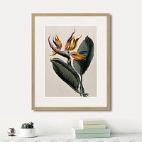 картина: exotic plants of the world №4, 1815г. в Нальчике