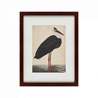 картина: black stork in a landscape, индия, 1780 в Нальчике