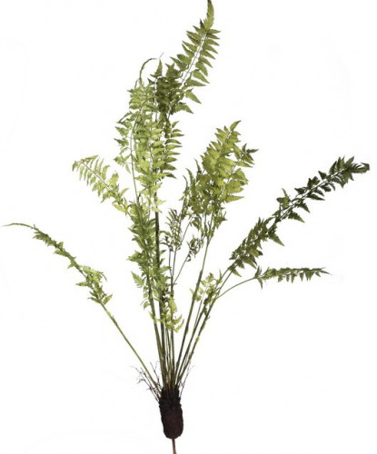 декор fern plant в Нальчике
