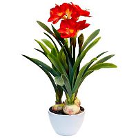 амариллис красный в горшке 76 см в Нальчике