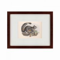 картина: the squirrel, 1879 в Нальчике