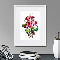 картина: caribian flora pink and purple flower, 1740г. в Нальчике