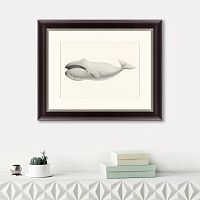 картина: bowhead whale (balaena mysticetus), 1856 в Нальчике