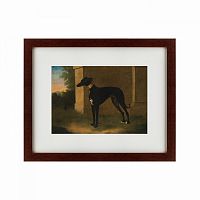 картина: portrait of a greyhound called pompon, 1746 в Нальчике