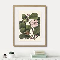 картина: balsam tree with pink flower, 1741г. в Нальчике