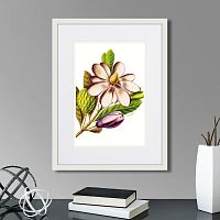 картина: caribian flora purple magnolia, 1740г. в Нальчике