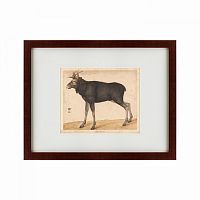 картина: moose, 1560 в Нальчике
