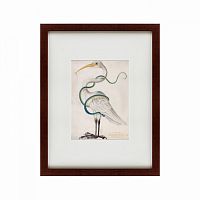картина: heron encircled by a snake, 1700 в Нальчике