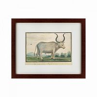 картина: cape ox, 1778 в Нальчике