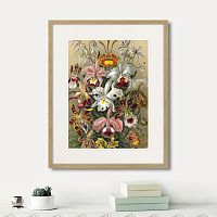 картина: art forms of nature №6, 1897г. в Нальчике