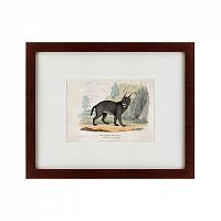 картина: a caracal or lynx, 1830 в Нальчике