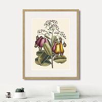 картина: cashew tree, 1742г. в Нальчике